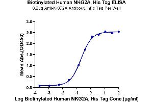 ELISA image for Killer Cell Lectin-Like Receptor Subfamily C, Member 1 (KLRC1) (AA 100-233) protein (His-Avi Tag,Biotin) (ABIN7275339)