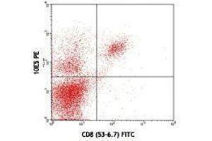 Flow Cytometry (FACS) image for anti-CD226 (CD226) antibody (PE) (ABIN2663191) (CD226 抗体  (PE))