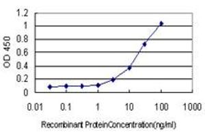 Detection limit for recombinant GST tagged TP53BP1 is approximately 0. (TP53BP1 抗体  (AA 1766-1874))