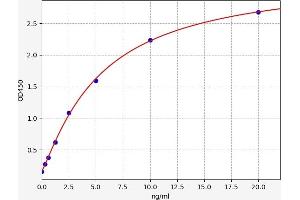 EIF2AK2 ELISA 试剂盒