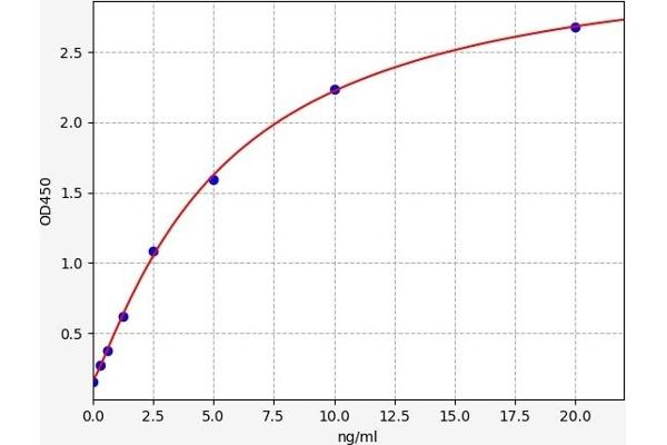 EIF2AK2 ELISA 试剂盒