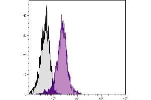 BALB/c mouse thymocytes were stained with Hamster Anti-Mouse CD28-FITC. (CD28 抗体  (FITC))