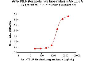 ELISA plate pre-coated by 5 μg/mL (100 μL/well) Human TSLP Protein, hFc Tag (ABIN7092793, ABIN7272398 and ABIN7272399) can bind Anti-TSLP Neutralizing antibody (ABIN7478008 and ABIN7490983) in a linear range of 741-6667 ng/mL. (Recombinant TSLP (Tezepelumab Biosimilar) 抗体)