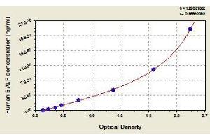 Typical standard curve (ALPL ELISA 试剂盒)