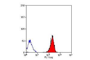 Staining of human peripheral blood lymphocytes with Rat anti Human HLA ABC (ABIN119778). (HLA-ABC 抗体)