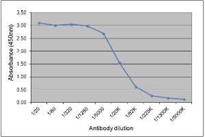 ELISA image for Mouse anti-Horse IgGa antibody (ABIN2474776) (小鼠 anti-马 IgGa Antibody)