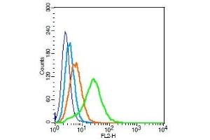 Flow Cytometry (FACS) image for anti-Platelet-Activating Factor Receptor (PTAFR) (AA 231-342) antibody (ABIN687127)