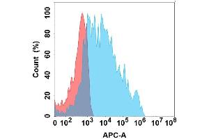 Flow cytometry analysis with Anti-A on Expi293 cells transfected with human A (Blue histogram) or Expi293 transfected with irrelevant protein (Red histogram). (KLRC1 抗体)