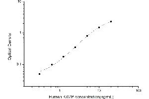 Typical standard curve (Ki-67 ELISA 试剂盒)