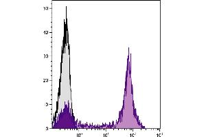 Human peripheral blood lymphocytes were stained with Mouse Anti-Human CD5-UNLB followed by Goat Anti-Mouse IgG2a, Human ads-PE. (山羊 anti-小鼠 IgG2a Antibody (PE) - Preadsorbed)