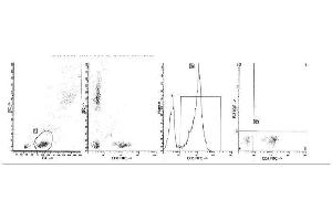 Image no. 1 for anti-CD5 (CD5) antibody (FITC) (ABIN1106440) (CD5 抗体  (FITC))