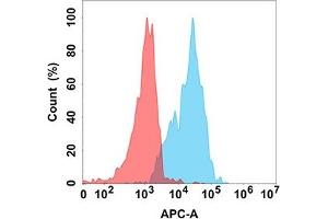 Flow cytometry analysis with Anti-CD70 (DM191) on Expi293 cells transfected with human CD70 (Blue histogram) or Expi293 transfected with irrelevant protein (Red histogram). (CD70 抗体)