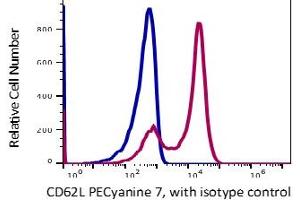 Image no. 2 for anti-Selectin L (SELL) antibody (PE-Cy7) (ABIN5067774) (L-Selectin 抗体  (PE-Cy7))