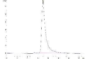 Size-exclusion chromatography-High Pressure Liquid Chromatography (SEC-HPLC) image for Proprotein Convertase Subtilisin/kexin Type 9 (PCSK9) (AA 31-692) protein (His tag) (ABIN7275415)