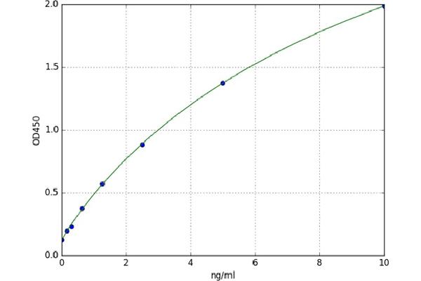 IMMP2L ELISA 试剂盒