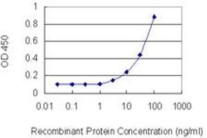 Detection limit for recombinant GST tagged PIK3AP1 is 1 ng/ml as a capture antibody. (PIK3AP1 抗体  (AA 601-700))