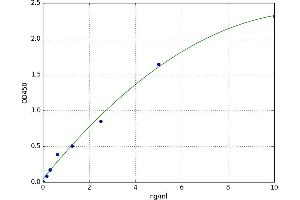 A typical standard curve (OGG1 ELISA 试剂盒)