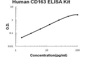 Human CD163 Accusignal ELISA Kit Human CD163 AccuSignal ELISA Kit standard curve. (CD163 ELISA 试剂盒)