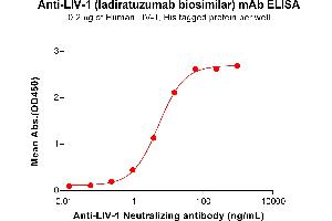 ELISA plate pre-coated by 2 μg/mL (100 μL/well) Human LIV-1 Protein, His Tag ABIN7455490, ABIN7490968 and ABIN7490970 can bind Anti-LIV-1 Neutralizing antibody (ABIN7478009 and ABIN7490985) in a linear range of 0. (Recombinant LIV-1 (Ladiratuzumab Biosimilar) 抗体)