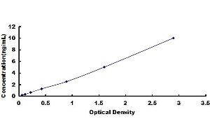 Typical standard curve (Reelin ELISA 试剂盒)