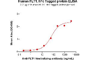 ELISA plate pre-coated by 2 μg/mL (100 μL/well) Human Protein, hFc Tag (ABIN6964344, ABIN7042795 and ABIN7042796) can bind Anti- Neutralizing antibody ABIN7478023 and ABIN7490992 in a linear range of 3. (FLT1 Protein (AA 27-756) (Fc Tag))