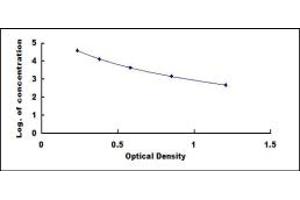 Typical standard curve (Vitamin C ELISA 试剂盒)