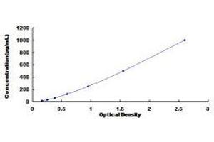 ELISA image for Chemokine (C-X-C Motif) Ligand 13 (CXCL13) ELISA Kit (ABIN432229) (CXCL13 ELISA 试剂盒)