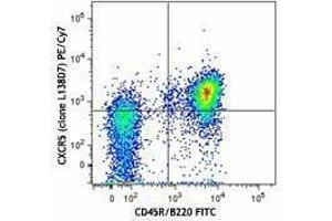 Flow Cytometry (FACS) image for anti-Chemokine (C-X-C Motif) Receptor 5 (CXCR5) antibody (PE-Cy7) (ABIN2659141) (CXCR5 抗体  (PE-Cy7))