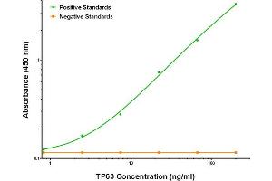 ELISA image for anti-Tumor Protein P63 (TP63) antibody (ABIN2672157) (p63 抗体)