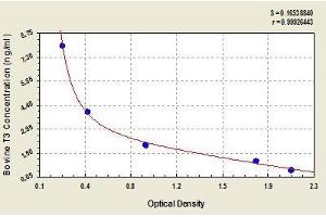 Typical standard curve (Triiodothyronine T3 ELISA 试剂盒)