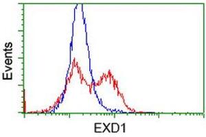 HEK293T cells transfected with either RC206223 overexpress plasmid (Red) or empty vector control plasmid (Blue) were immunostained by anti-EXD1 antibody (ABIN2453984), and then analyzed by flow cytometry. (EXD1 抗体)