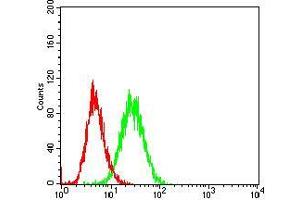 Fig. (CD36 抗体  (AA 30-130))