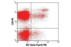 Flow Cytometry (FACS) image for anti-Interferon gamma (IFNG) antibody (Alexa Fluor 700) (ABIN2658101) (Interferon gamma 抗体  (Alexa Fluor 700))