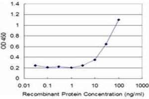 Detection limit for recombinant GST tagged CREB1 is approximately 3ng/ml as a capture antibody. (CREB1 抗体  (AA 14-101))