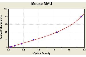 Diagramm of the ELISA kit to detect Mouse MAUwith the optical density on the x-axis and the concentration on the y-axis. (Microalbuminuria ELISA 试剂盒)