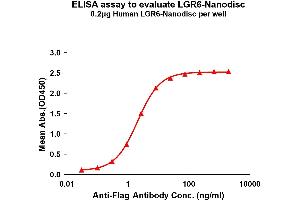 Elisa plates were pre-coated with Flag Tag -Nanodisc (0. (LGR6 蛋白)