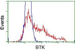 Image no. 2 for anti-Bruton Agammaglobulinemia tyrosine Kinase (BTK) antibody (ABIN1496977) (BTK 抗体)