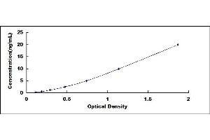 Typical standard curve (TEK ELISA 试剂盒)