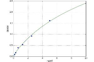 A typical standard curve (CNN1 ELISA 试剂盒)