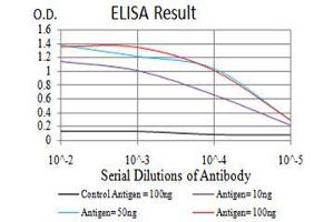 Black line: Control Antigen (100 ng), Purple line: Antigen(10 ng), Blue line: Antigen (50 ng), Red line: Antigen (100 ng), (MTOR 抗体  (AA 2311-2529))