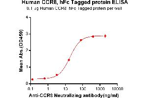 ELISA plate pre-coated by 1 μg/mL (100μL/well) Human , hFc Tag (ABIN6964400, ABIN7042855 and ABIN7042856) can bind Anti- Neutralizing antibody(ABIN7093079 and ABIN7272609) in a linear range of 3. (Recombinant CCR8 抗体)